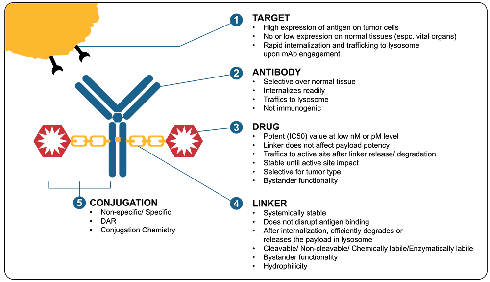 NJ Bio, Inc. — Recent Advances in ADCs