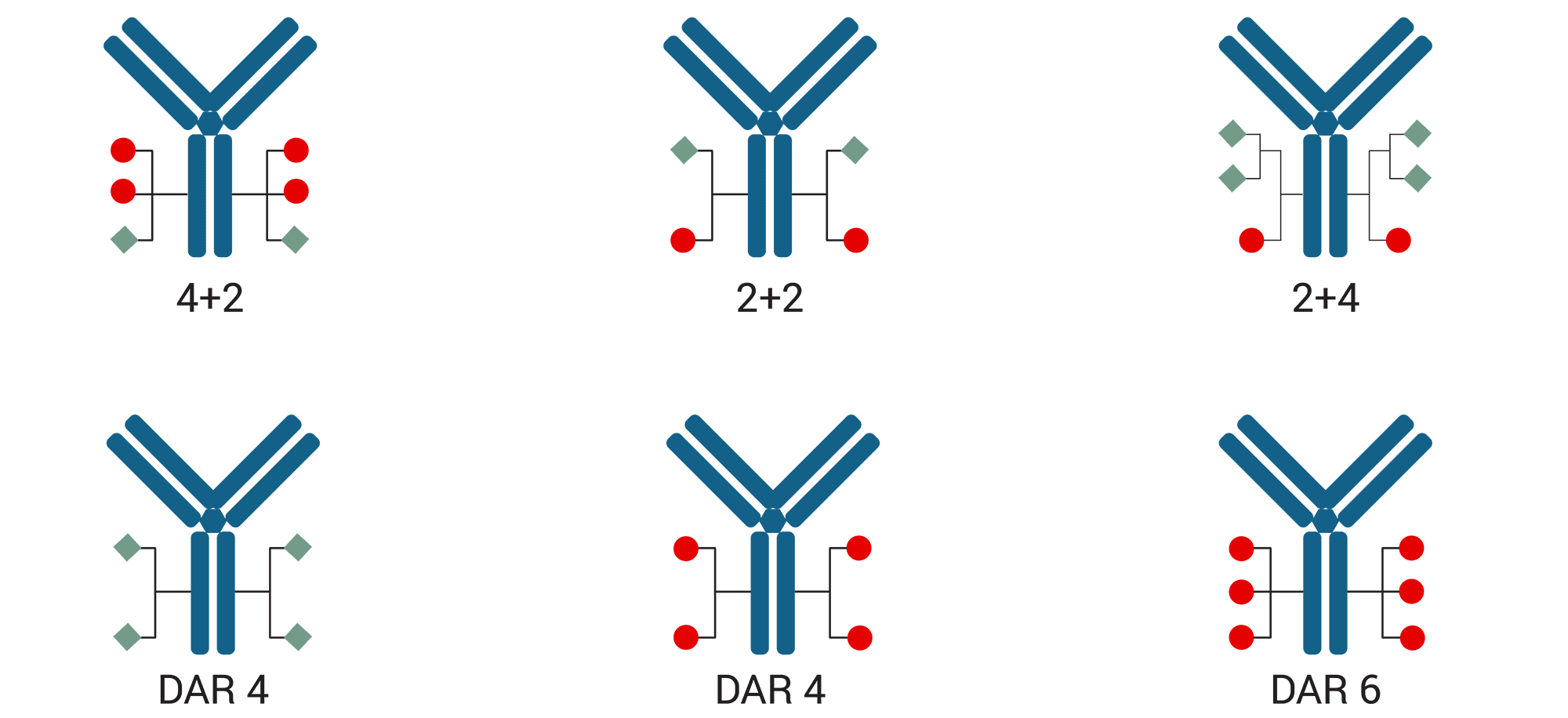 NJ Bio, Inc. — Recent Advances in ADCs