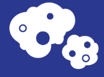 Functional Assays Icon