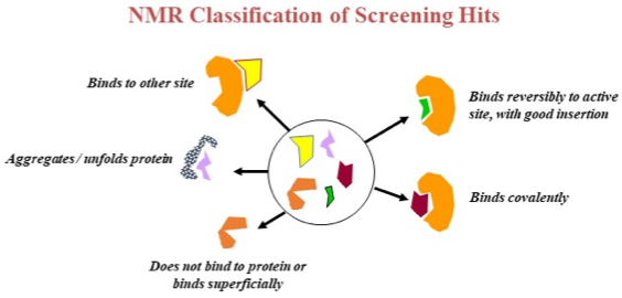 Hit validation by Bio-NMR and PROTACs