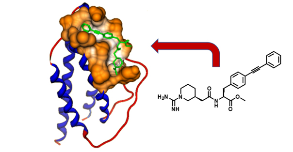 Binding site mapping by Bio-NMR for PROTAC discovery