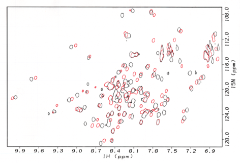 HSQC spectrum of 15N labeled protein for PROTACs