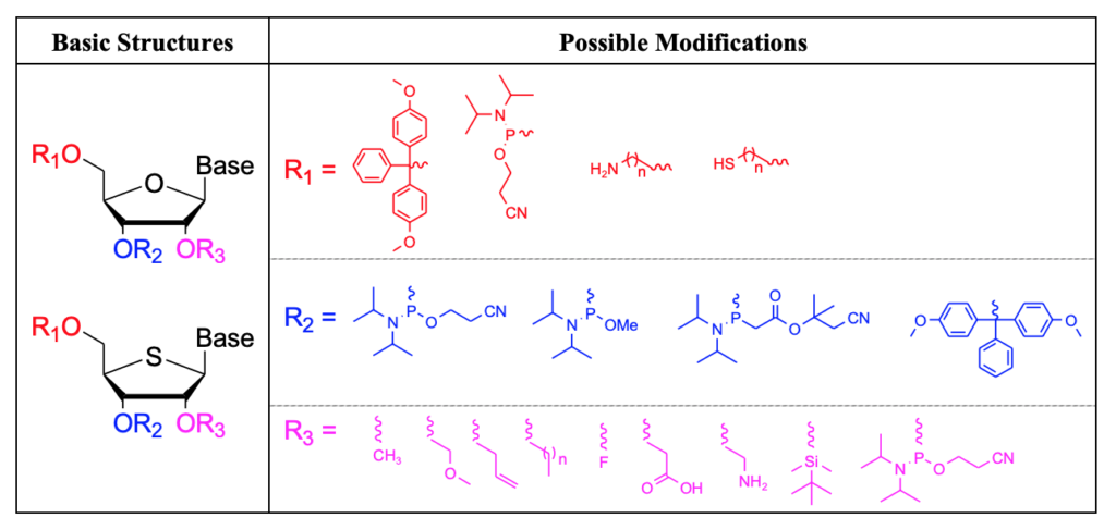 Variety of Nucleosides and Nucleotides for oligonucleotide synthesis