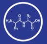 Payloads and Linkers Icon