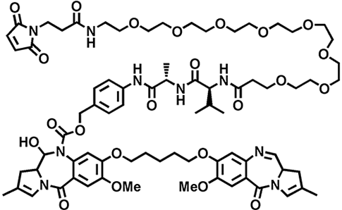 Tesirine (SG3249)_Drug-Linker Conjugates