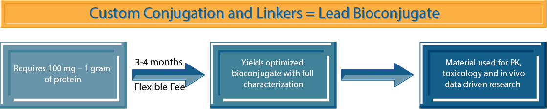 Custom Conjugation and Linkers - Lead Bioconjugate