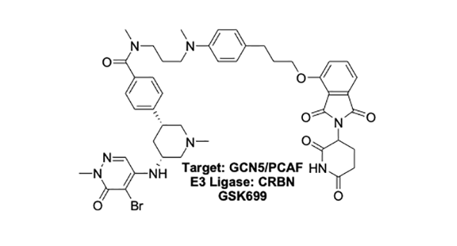 Target: GCN5/PCAF - E3 Ligase: CRBN - GSK699