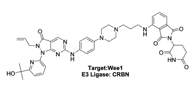 Target: Wee1 - E3 Ligase: CRBN