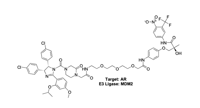 Target: AR - E3 Ligase: MDM2