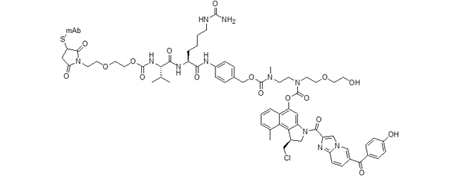 vc-PABC-EDA-seco-DUBA ADC (duocarmazine)