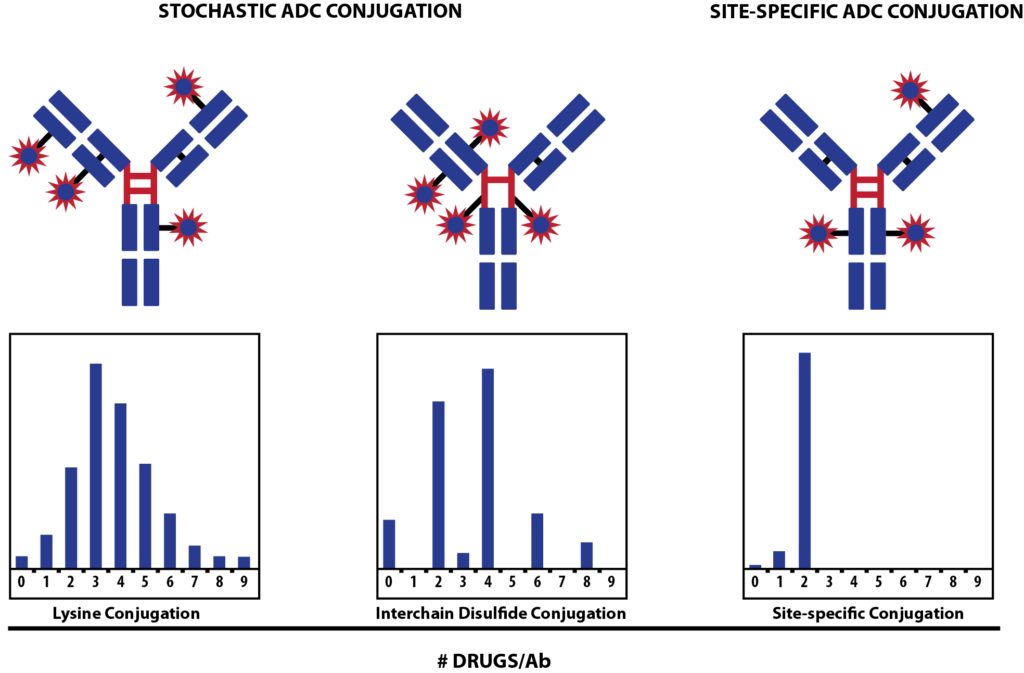 DAR distribution between heterogeneous (Stochastic) and homogeneous conjugations.