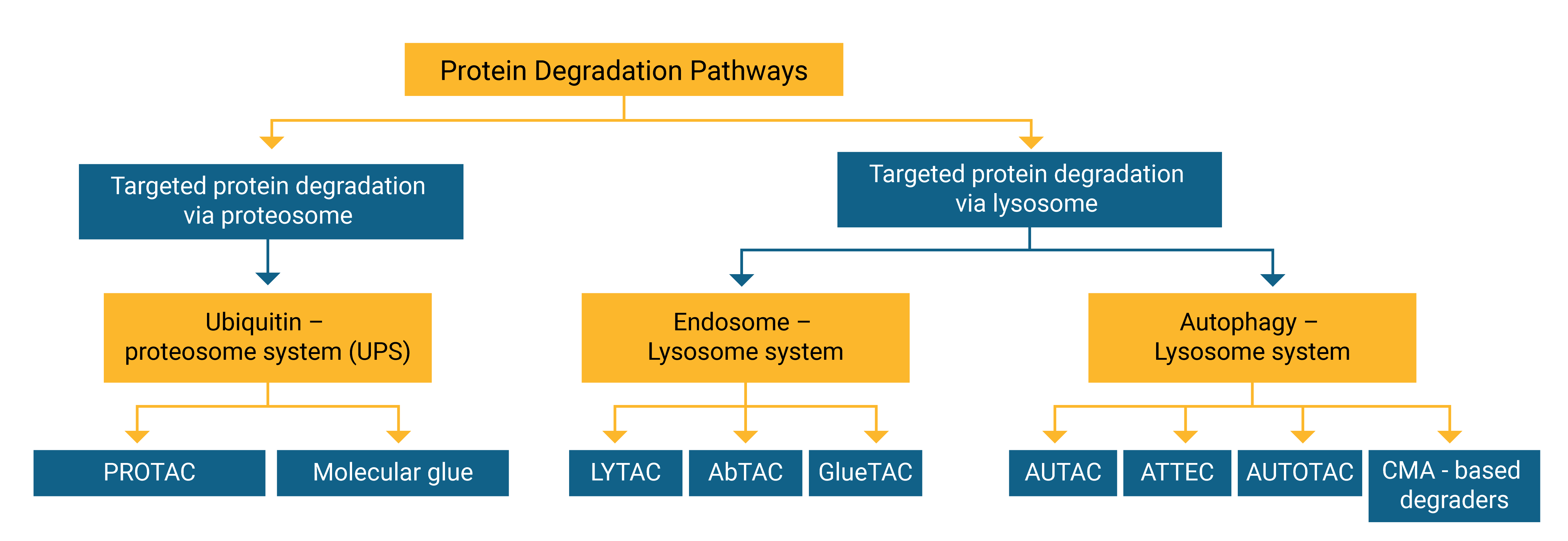 Evolution of Targeted Protein Degraders