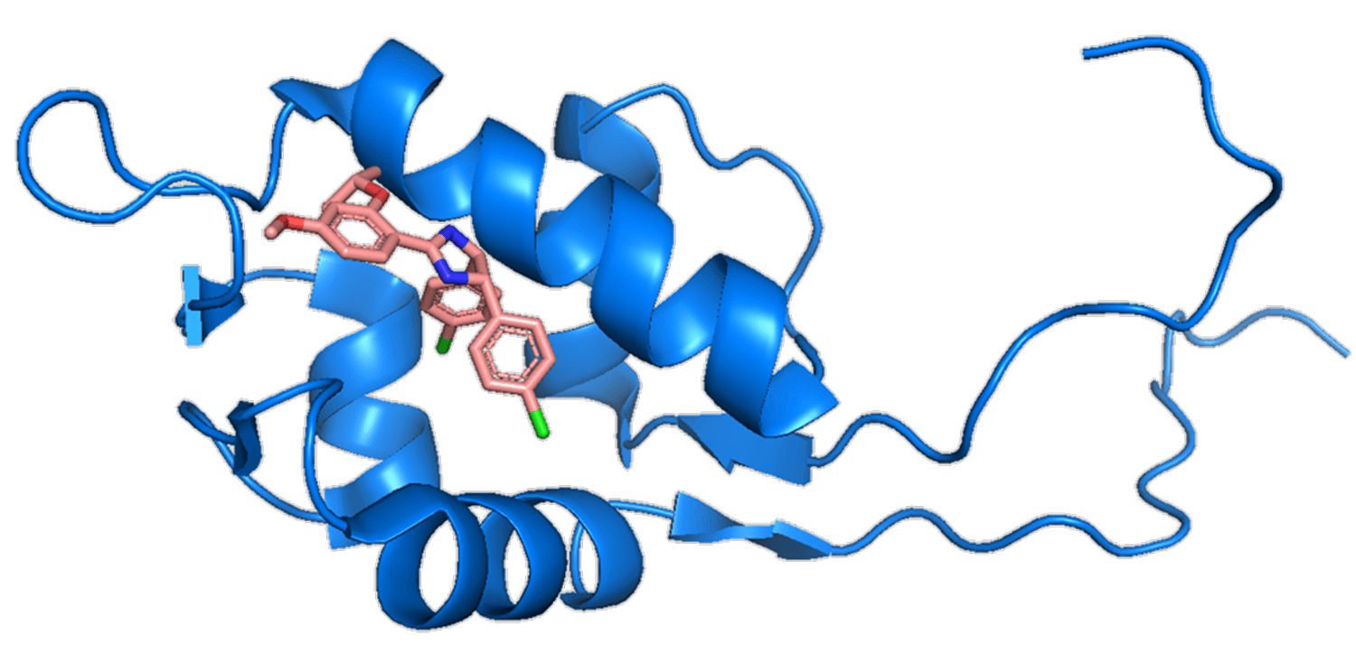 3D structure of protein-ligand complex solved by BioNMR