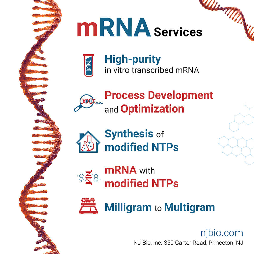 Nj Bio, Inc. - Mrna Services