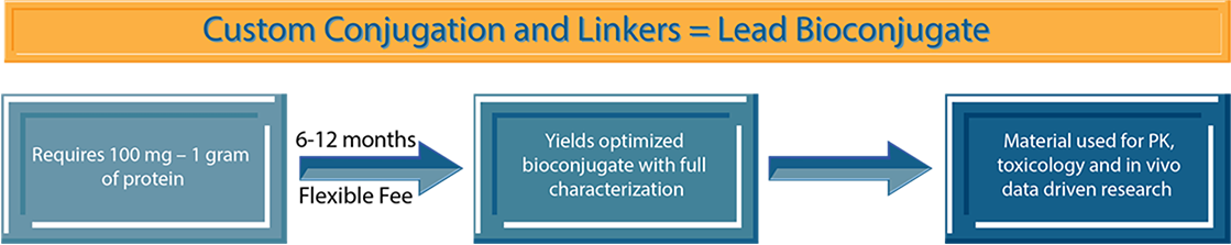 Custom Conjugation and Linkers - Lead Bioconjugate