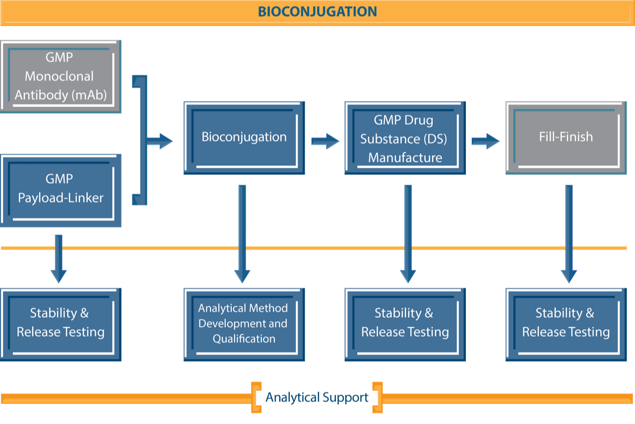 Bioconjugation Flowchart