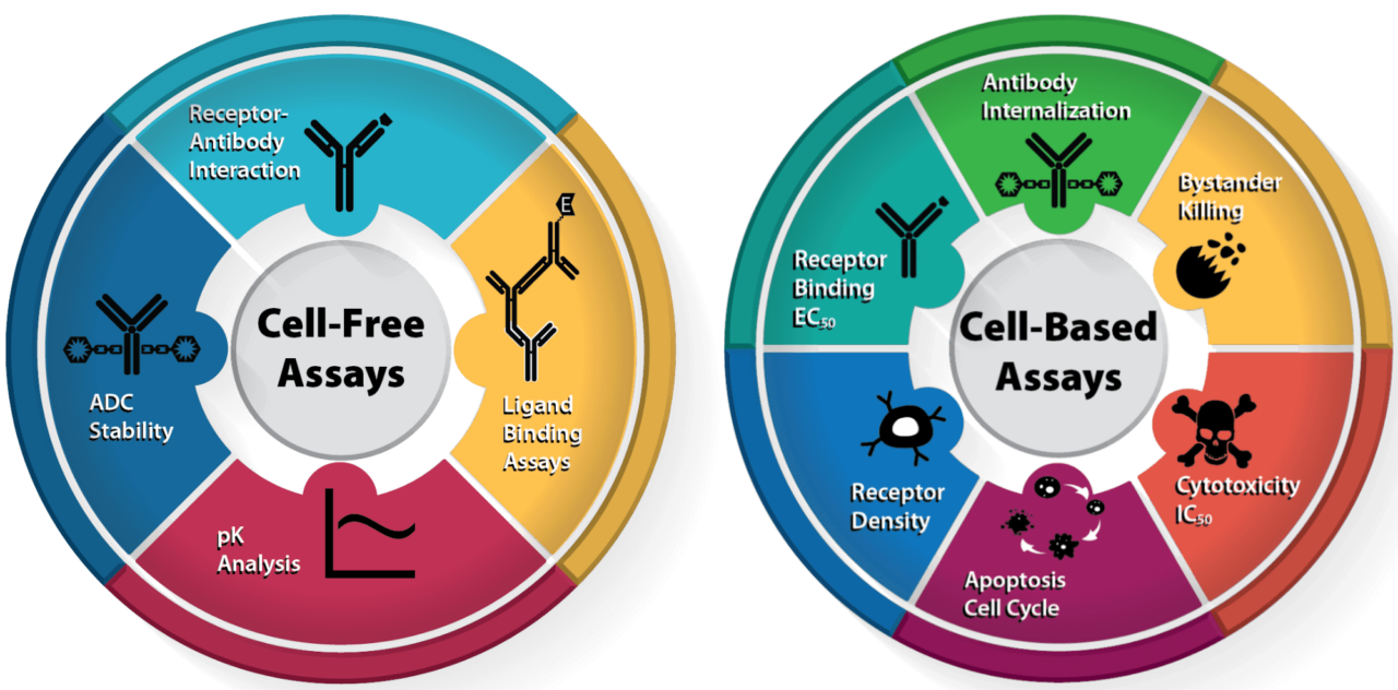 NJ Bio, Inc. — Cell Based Functional Assay including Cytotoxicity Assays