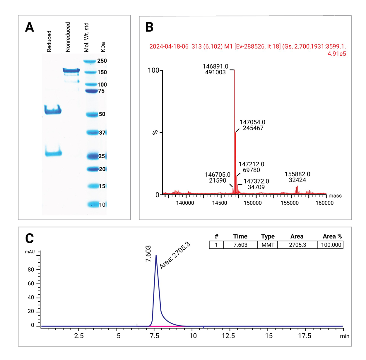 mRNA Manufacturing Flowchart