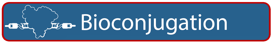 Bioconjugation Services