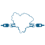 CDX (Human Cell Line Xenograft)