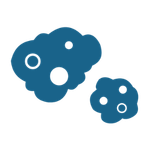 Humanized Immune Mouse model